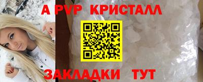 спиды Пугачёв