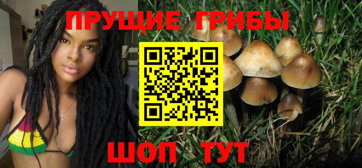 Саянск  Галлюциногенные грибы Cubensis  Галлюциногенные грибы прущие грибы  наркошоп  Вход с VPN 